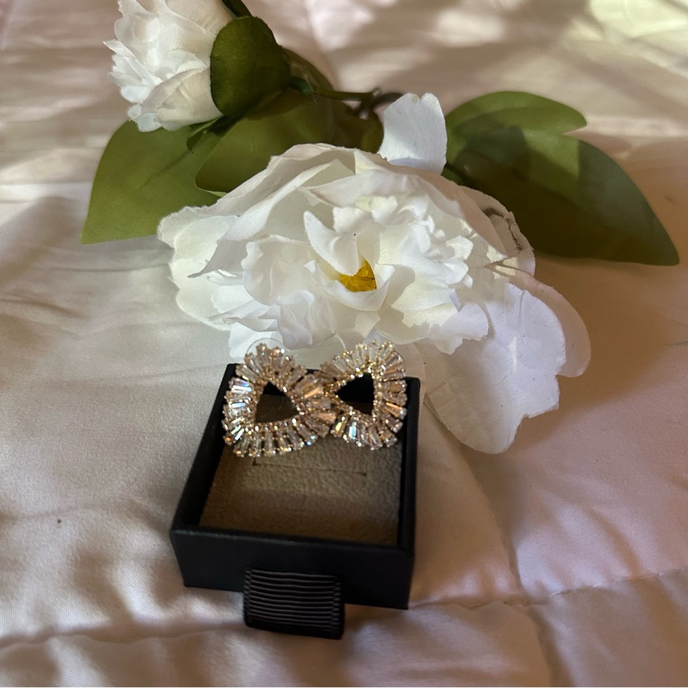 Fashion earrings
